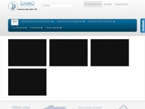 Ubezpiecz się od nietrafionego biznesu i działaj z multiagencją DAMO.